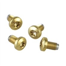 1911 TiN-COATED TORX & ALLEN HEAD GRIP SCREWS