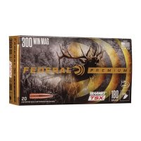 VITAL-SHOK AMMO 300 WIN MAG 180GR HP