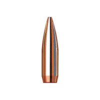 6MM (0.243") HOLLOW POINT BOAT TAIL BULLETS