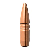 TRIPLE-SHOCK X 22 CALIBER (0.224") BULLETS