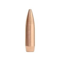 MATCHKING 22 CALIBER (0.224") HOLLOW POINT BOAT TAIL BULLETS