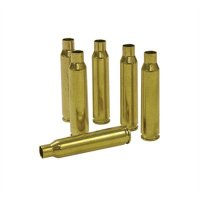 260 REMINGTON BRASS CASE