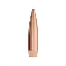 MATCHKING 22 CALIBER (0.224\") HOLLOW POINT BOAT TAIL BULLETS