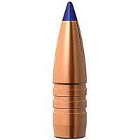 TIPPED TSX® 8MM (.323") POLYMER TIP BOAT TAIL RIFLE BULLETS