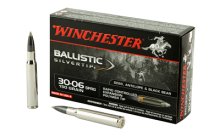 WIN BLSTC TIP 3006SP 150GR 20/200