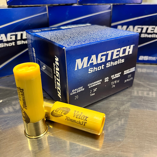 20 Gauge Ammo - 250 Rounds of 2-3/4” 13/16 oz. F Shot by Magtech with Free  Shipping at